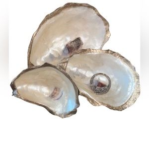 Oyster Shell With Silver Trim